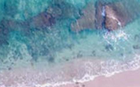 �������Сѧ����