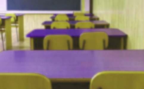 �ж�ĸУСѧ���ݽ���