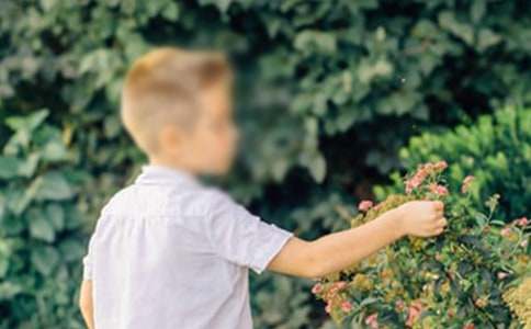 ���漣�к����ۺ�з���(15ƪ)