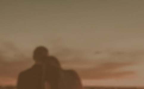 ��Ů����Э������ƪ