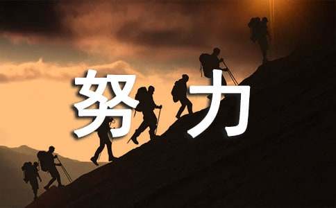 《我尽了最大的努力》读后感