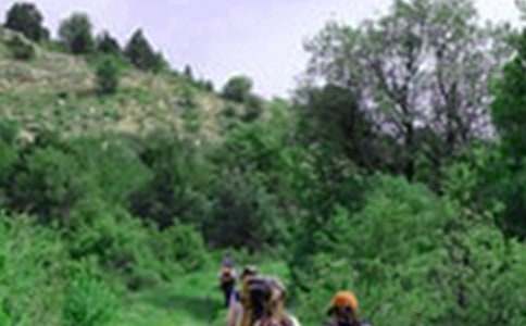 我的爬山历程日记范文5篇