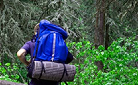 ��ɽ���ĽŽ�ѧ��˼����ѡ��