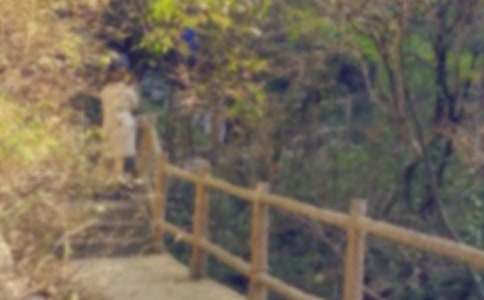 ʵ�õ���ɽ���ռǷ��Ļ���ƪ