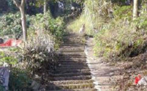 �й���ɽ���ռǷ��ĺϼ���ƪ