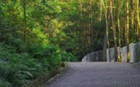 ��ѡ��ɽ�ռ�ģ����7ƪ