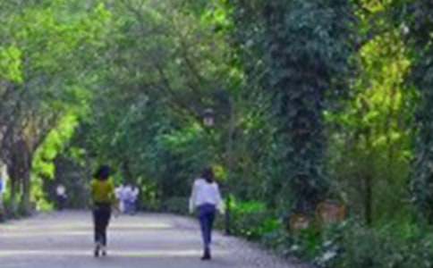 ��ɽ���ĵ�