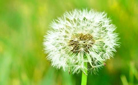 �ѹ�Ӣ˵����