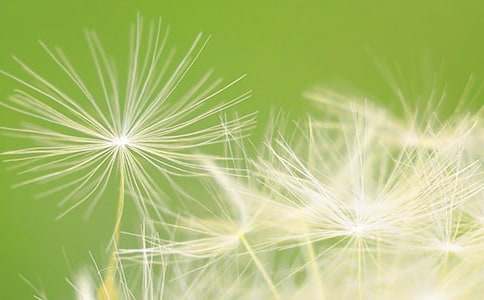 ���ѹ�Ӣ���Ρ���ѧ��˼