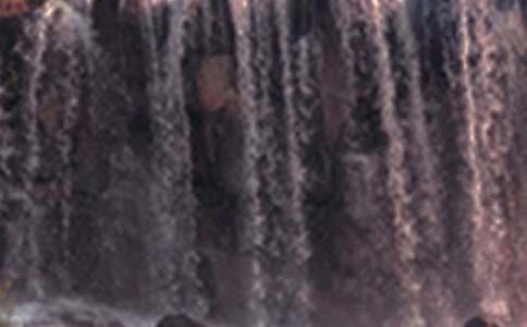 ���������ٲ��������