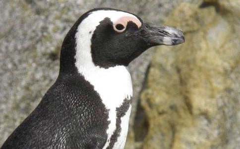 [�ر�]�����������������