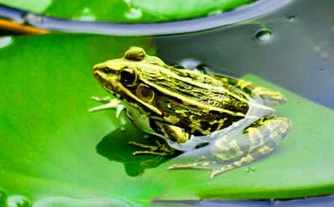 ���ܾ��Ű���������