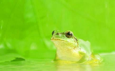 �������ܾ��Ű������и�15ƪ