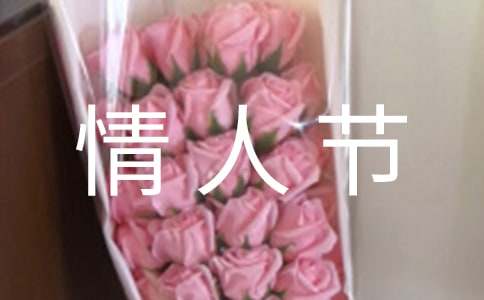 ���˽��ݽ���