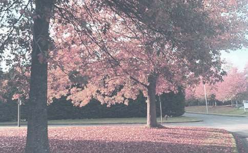 �＾ѧǰ�๤���ܽ�(ͨ��11ƪ)