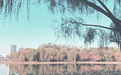 �＾��ͯ������ѧ����Ԥ������֤�����ܽ�