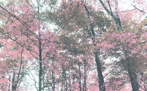 �＾ѧ�ڽ̵��������ܽ�