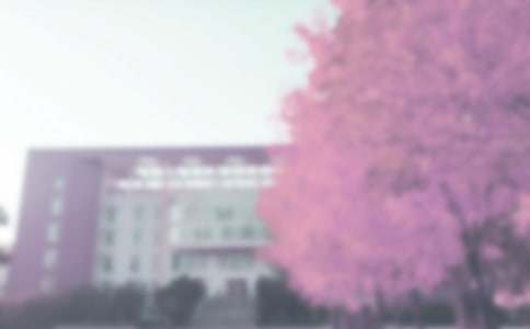 С���＾�����ƻ�