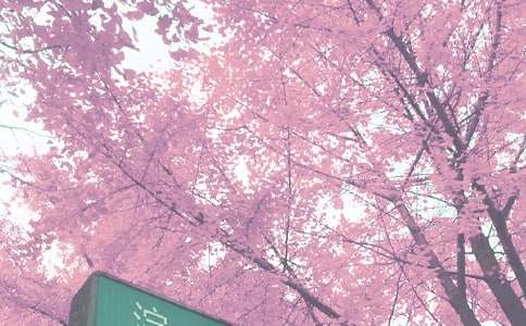 �＾���ڹ����ƻ�