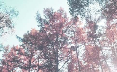 �＾ѧ�ڹ����ܽ�