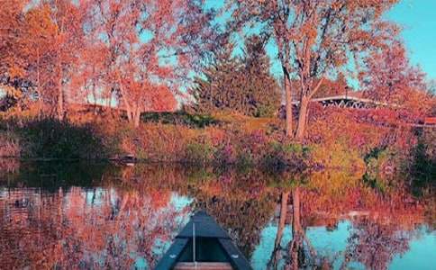 ����һ���ռǣ���ѡ12ƪ��