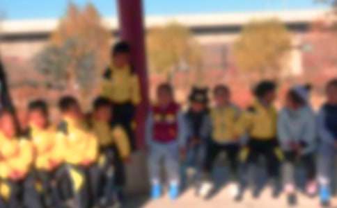 ����Сѧ����(����15ƪ)