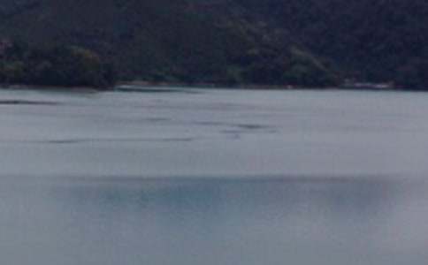 ������̶����ѧ��˼��������