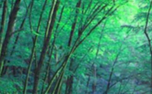 森林草原防火讲话稿范文