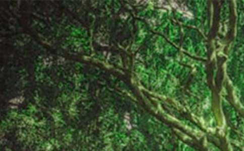 森林防火联防机制工作方案范文(通用7篇)