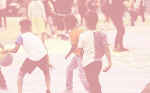 �������ۺ��(���15ƪ)