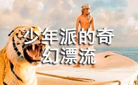 《少年派的奇幻漂流》观后感汇编(2篇)