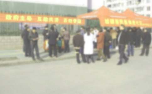 �����������ܽ�(15ƪ)