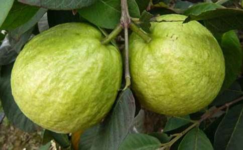 ʯ��Ľ�ѧ��˼