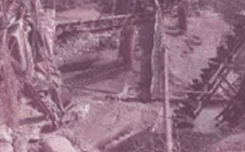 最新中国石油大学自我鉴定