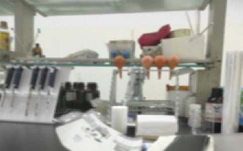 实验室工作总结