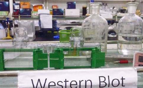 �߽���ѧʵ���ҽ�ѧ��˼