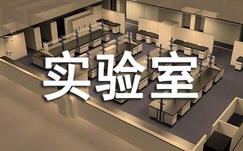 [����]Сѧʵ���ҹ����ƻ�15ƪ