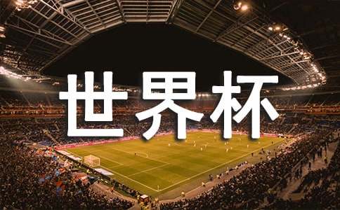 �������籭�ۺ��