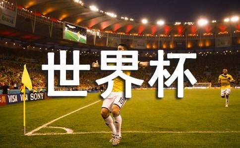 ���籭�������ۺ��