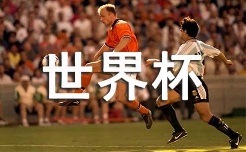 ���籭�����ۺ��