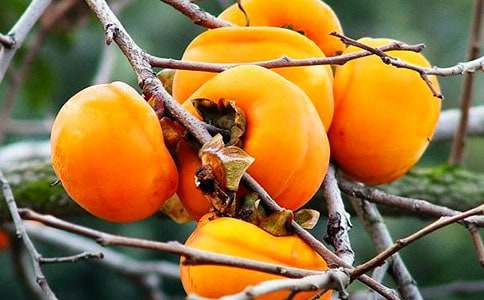 ��ʱ��������-����������