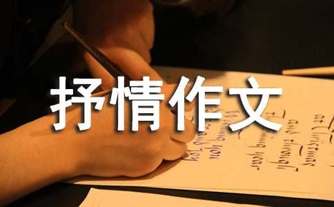 д���������Ļ��ܾ�ƪ