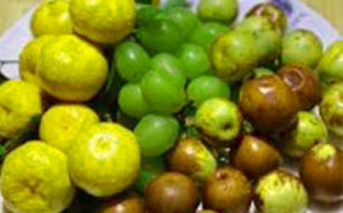 水果收购合同锦集八篇