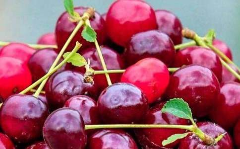 ˮ�������ͬ4ƪ