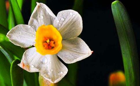 ������ˮ��������