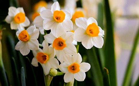 ˮ�ɻ��۲��ռ�