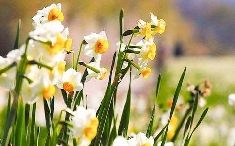 ����ˮ�ɻ��۲��ռǽ�����ƪ