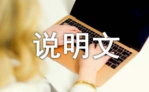 ���꼶˵����