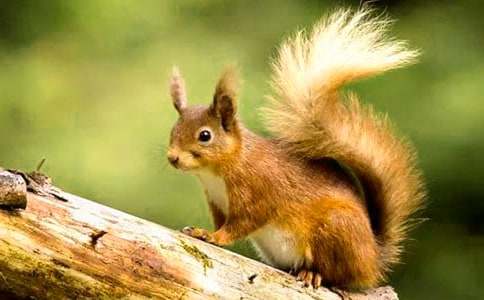 ��������ɹ�����ѧ��˼ 15ƪ