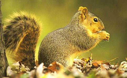 ���ܽ����������󡷽�ѧ��Ƽ���˼